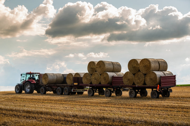 Trucks & Trailers